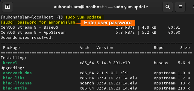 The command updates all the repositories with the latest informations.