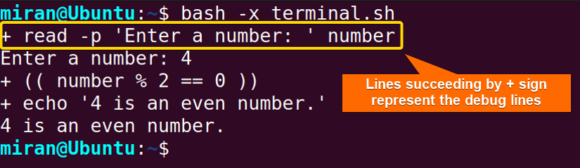 Output image of Adding “-x” Option While Executing the Script