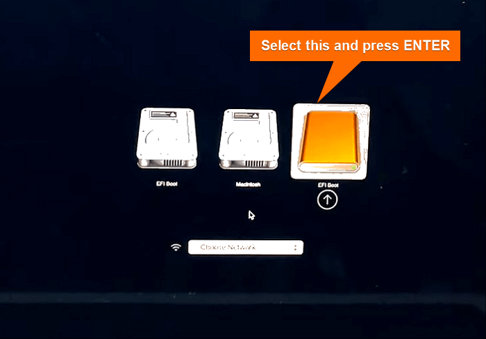 Selecting EFI boot