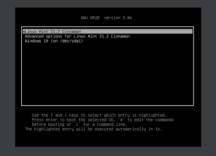 Bootloader at startup screen