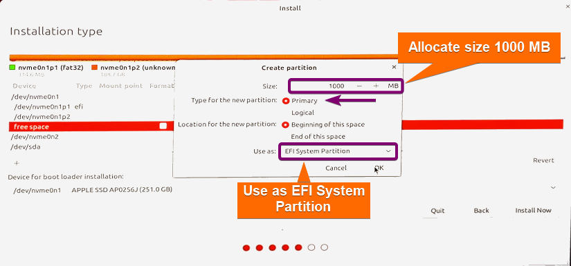 Setting EFI partition of 1000 MB