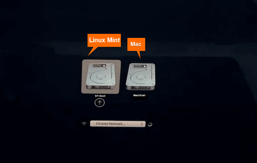 Choose Linux mint or mac from startup menu