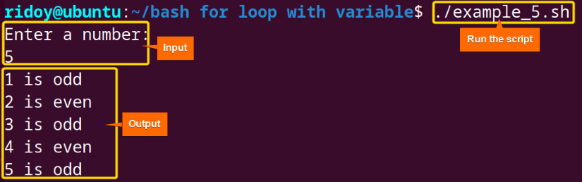 Check all Odd/Even Numbers until the input number