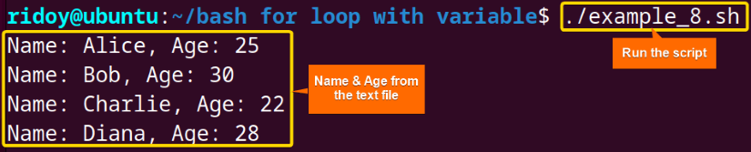 Read Variables from a File