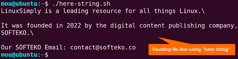 reading file line using here string in a while loop