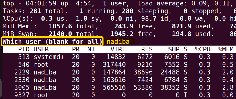 Setting specific user in the list of processes in "top" command
