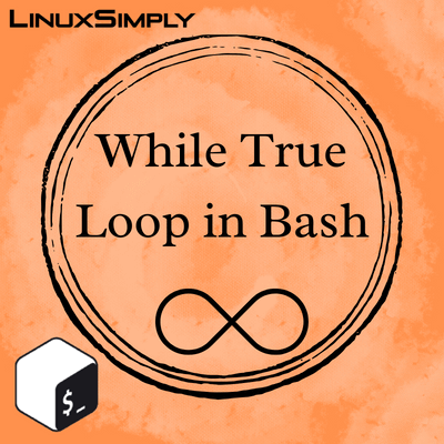 while true loop in bash