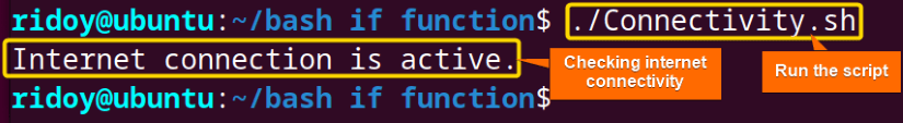 Check network connectivity using bash if conditional statement within function
