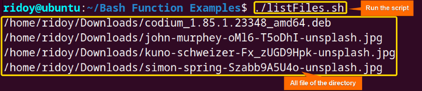 Listing all Files in a Directory