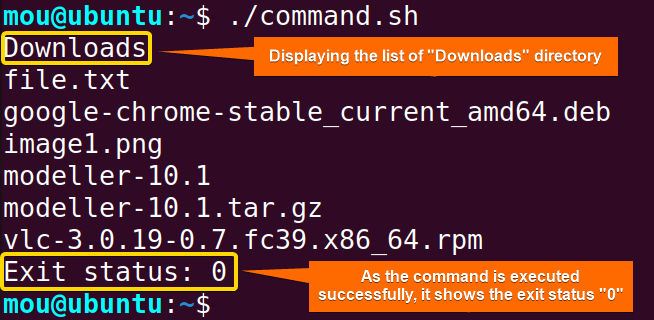 successful execution of ls command with return code 0