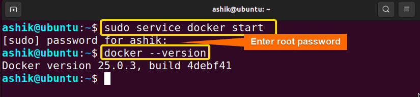 executing sudo service docker start