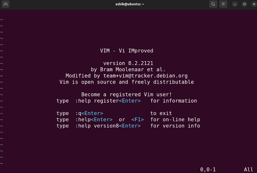 vim interface
