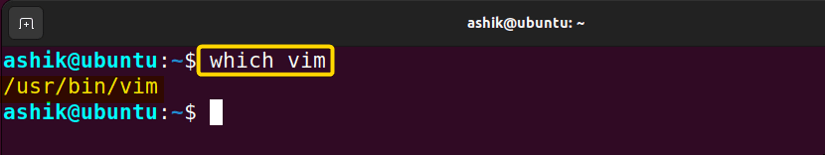 executing which vim