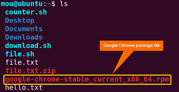 checking if the google chrome package file is downloaded