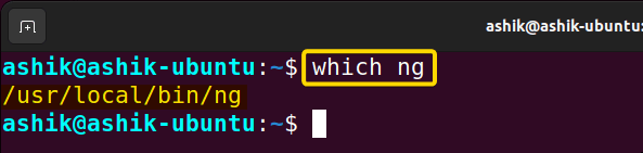 executing which ng