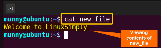 cat command