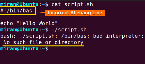 Incorrect Shebang Line