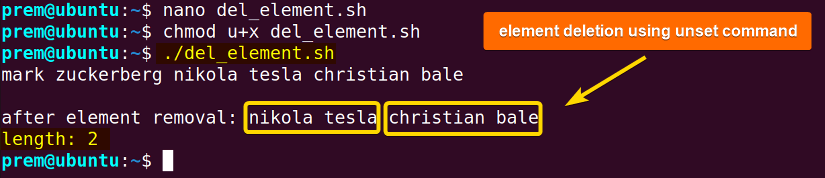 delete array items