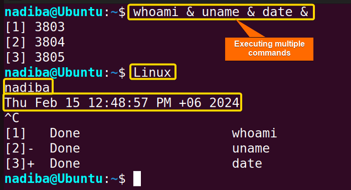 Concurrent execution of multiple processes