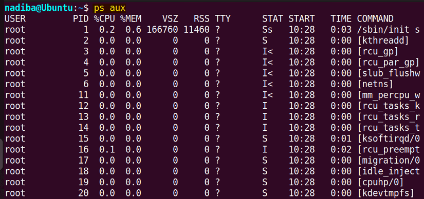 List processes in Bash using 'ps aux' command