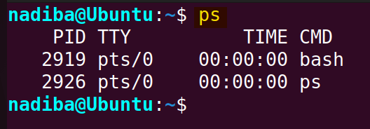 List processes in Bash using 'ps' command