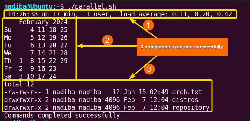 Start 3 processes in Bash using GNU parallel