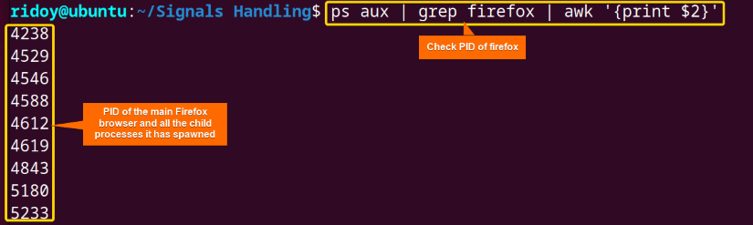 find PID of a process using ps command