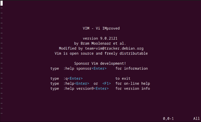 Vim text editor interface