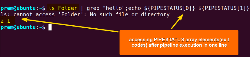 array expansion and pipeline running in oneline 