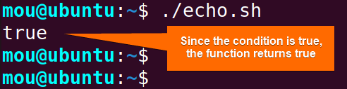 returns boolean from function using echo command
