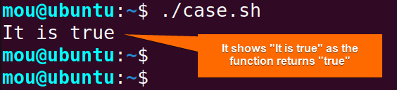 returns boolean from function using case statement
