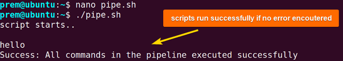 exiting with success in a pipline 