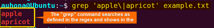 Using regex with "grep" command to search in a file.