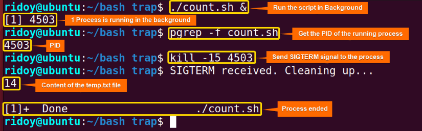 run script in background and then send SIGTERM signal to the process