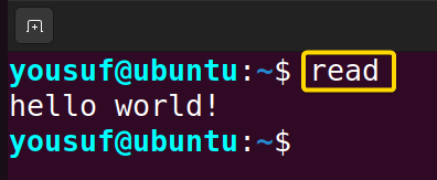 Typing random user input in read command