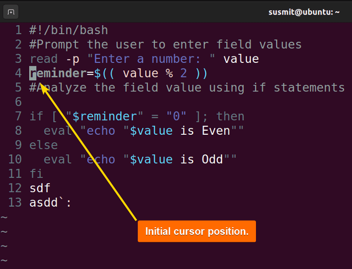Initial cursor position.