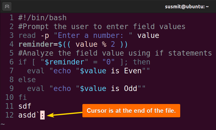 The cursor is at the end of the file.