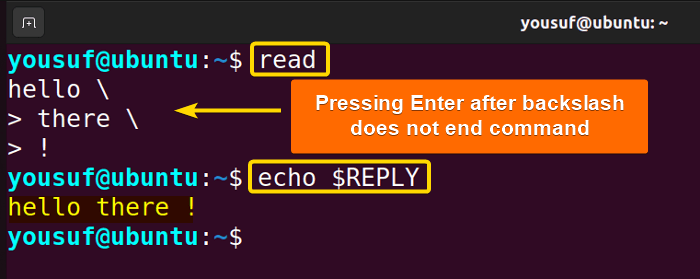 Using backlash to escape characters in read