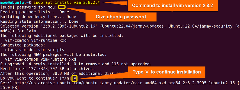 install specific version of vim