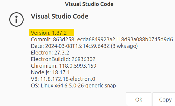 The prompt shows the VSCode version including other information regarding VSCode.