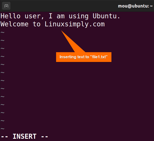 inserting text to a file in vim