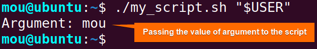 passing arguments using double quotes