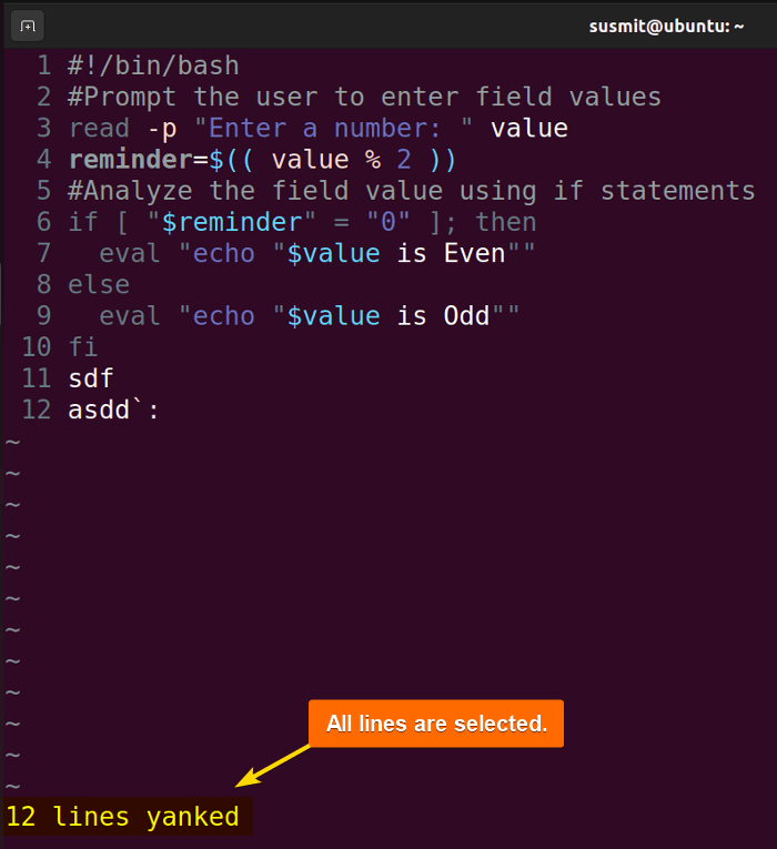All lines selected in vim.