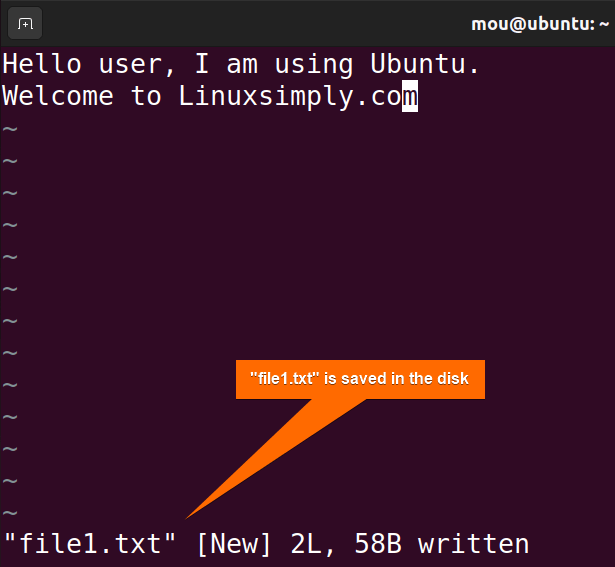 saving file text in vim