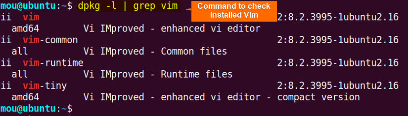 check vim using dpkg