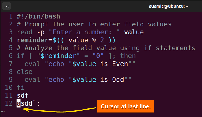 The cursor is at the last line.