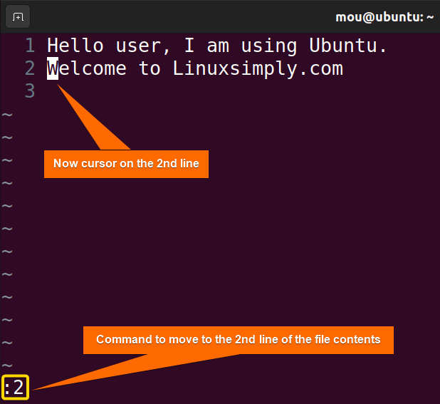 navigating through file in vim2