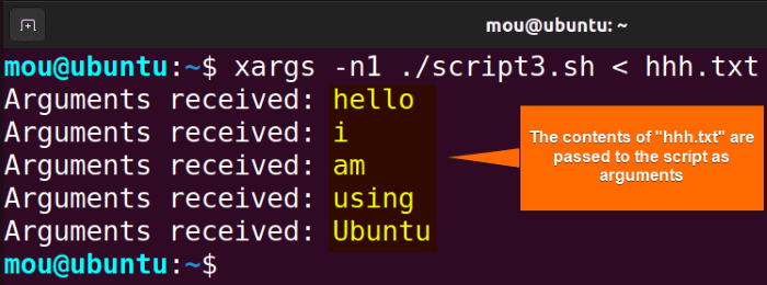 passing argument using xargs