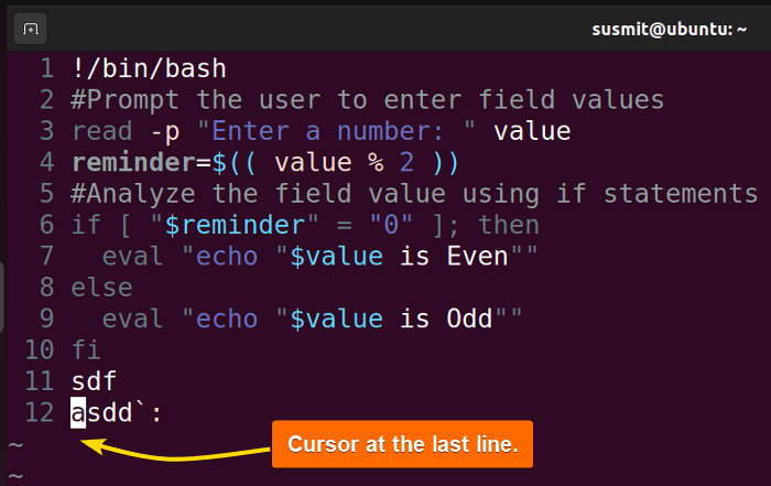 The cursor at the last line.