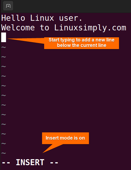 add a new line to a file in vim